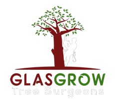 GLASGOW TREE SURGEONS